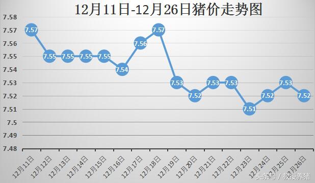 今日生猪价格最新走势,今日生猪价格最新走势分析