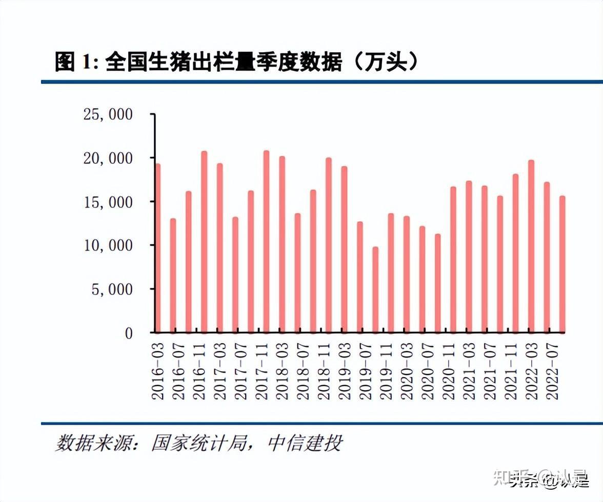 今天最新生猪价格,最新生猪价格动态分析