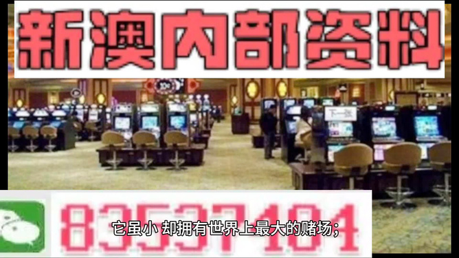 2024新澳精准正版资料,探索新澳精准正版资料，揭秘未来趋势与实用指南