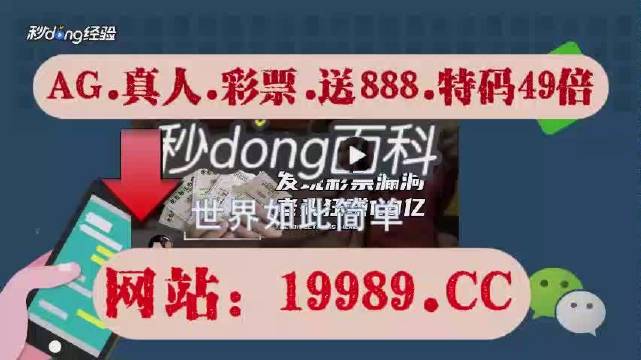 2024澳门天天开好彩幽默猜测,2024澳门天天开好彩的幽默猜测之旅