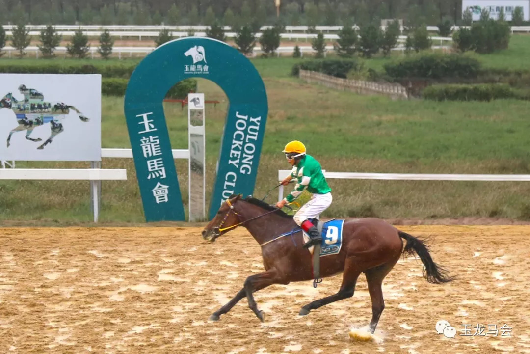 今晚澳门马出什么特马,今晚澳门马出什么特马，探索与预测赛马世界的神秘面纱