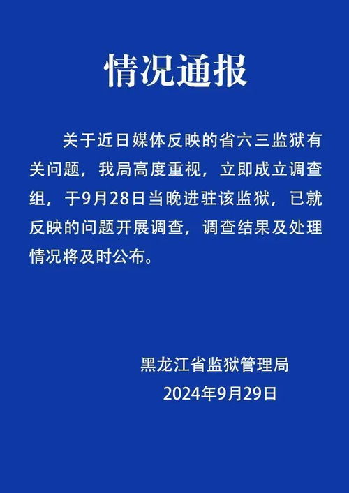 澳门精准资料大全免费,澳门精准资料大全免费，揭示背后的风险与违法犯罪问题