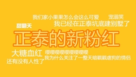 澳门6合和彩官方网站,澳门六合和彩官方网站，警惕背后的风险与犯罪问题